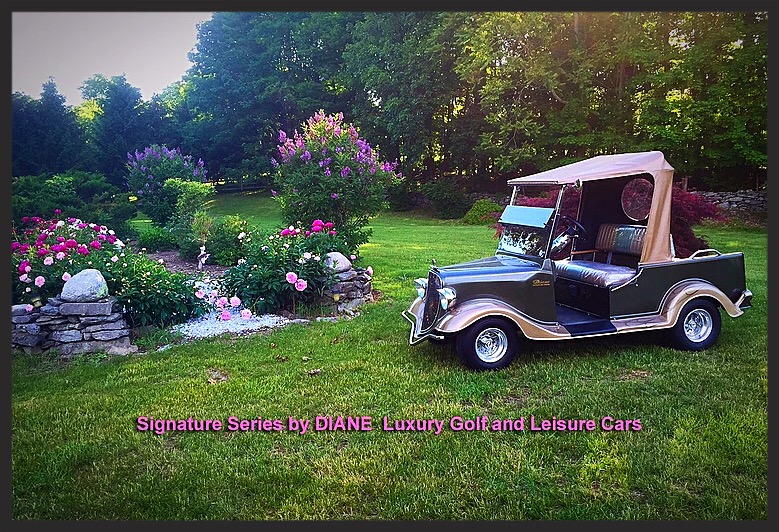 Luxury golf cart custom build